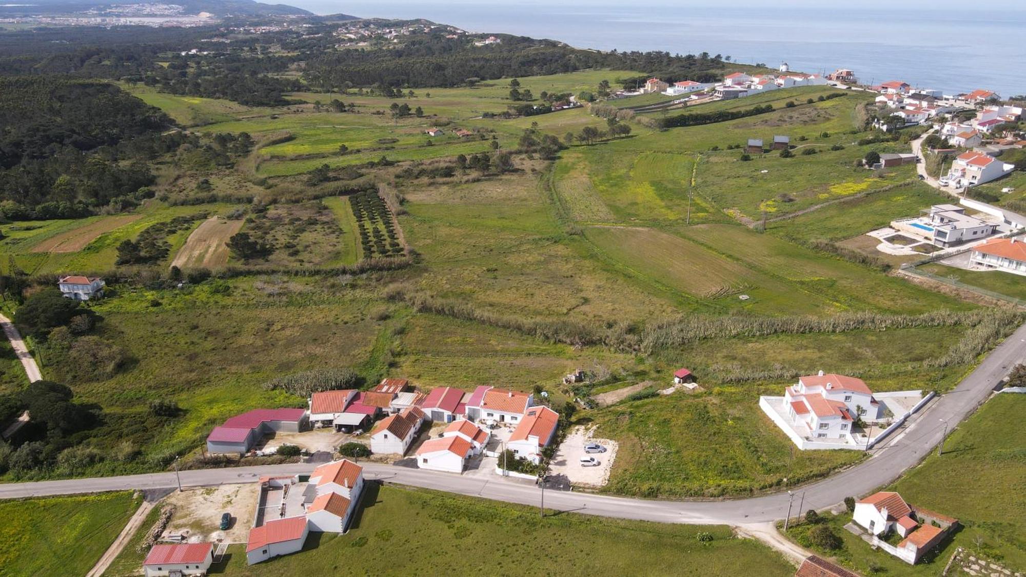 Casas Com Amoras In Serra Da Pescaria Famalicao Luaran gambar