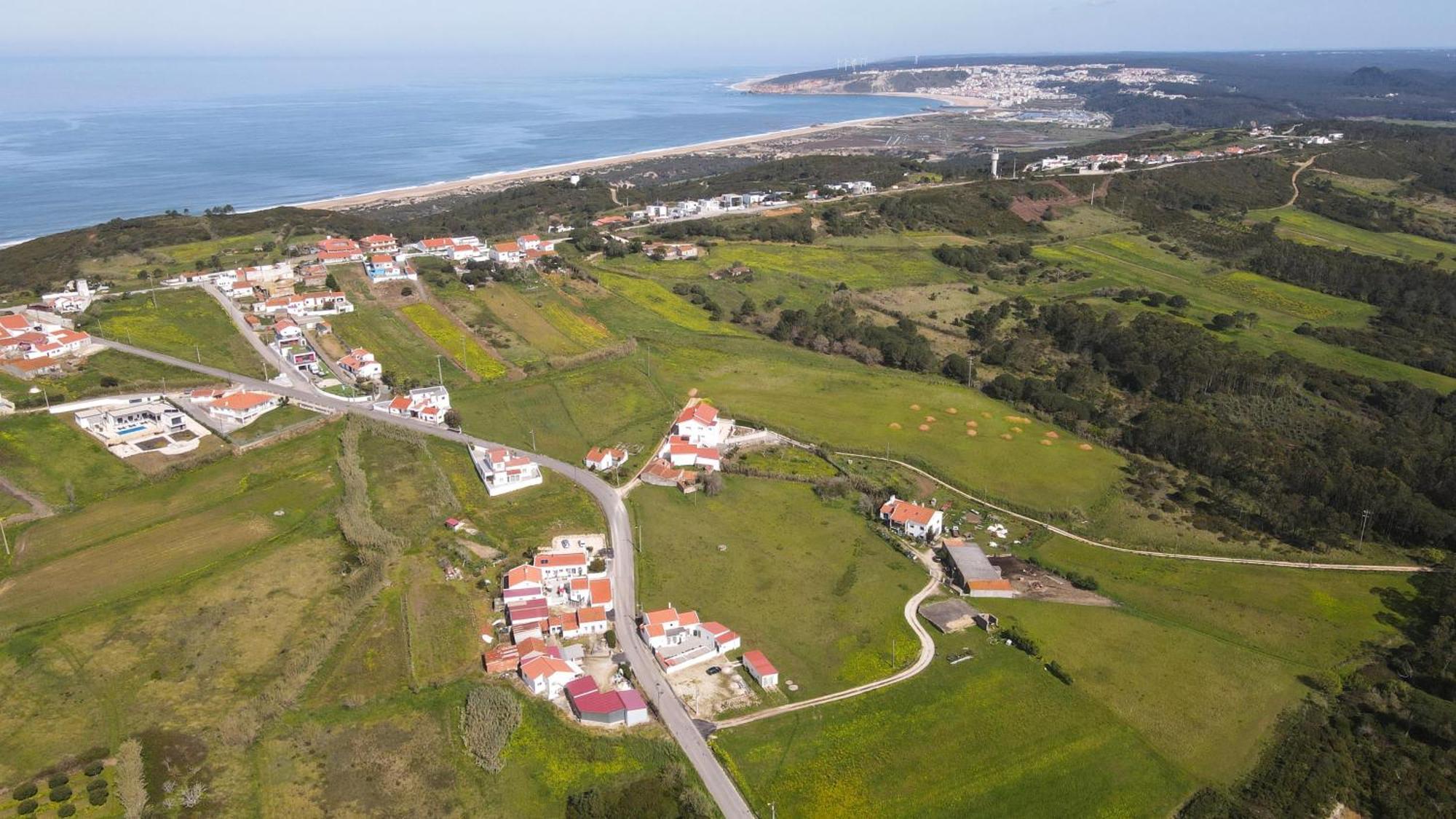 Casas Com Amoras In Serra Da Pescaria Famalicao Luaran gambar